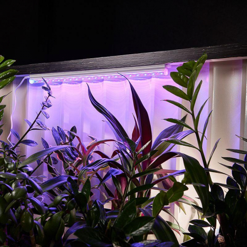 Светильник светодиодный для растений Green line 14Вт LED с комплектом креплений Rexant 616-001 в г. Санкт-Петербург  фото 5