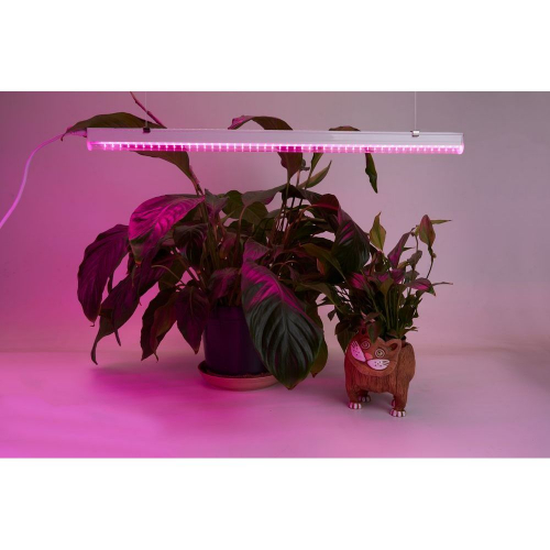Светодиодный светильник для растений, спектр фотосинтез (красно-синий) 18W, пластик, AL7001 41353 в г. Санкт-Петербург  фото 8