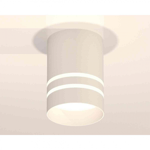 Комплект накладного светильника Ambrella light Techno Spot XS7401042 SWH/FR белый песок/белый матовый (C7401, N7141) в г. Санкт-Петербург  фото 3