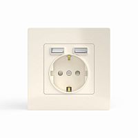TKE-PX-R1U2A-C02 Розетка 1-м СП Pixel с заземл. с 2-мя заряд. устр. USB тип A+A механизм беж. TOKOV ELECTRIC 