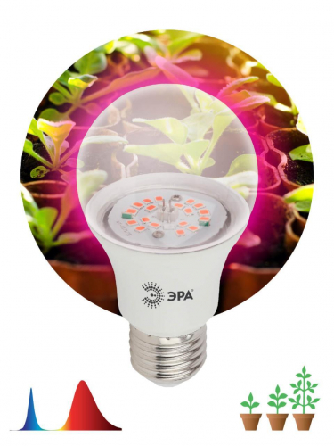 Лампа светодиодная для растений ЭРА E27 12W 1310K прозрачная FITO-12W-RB-E27-K Б0039070 в г. Санкт-Петербург  фото 3