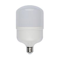 Лампа LED сверхмощная E27 30W 4500K LED-M80-30W/NW/E27/FR/S 10811 в г. Санкт-Петербург 