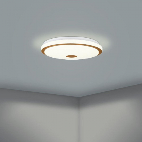 Настенно-потолочный светодиодный светильник Eglo Lanciano 1 900598 в г. Санкт-Петербург  фото 3