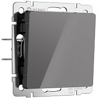 W1110044 Выключатель одноклавишный (графит акрил) 