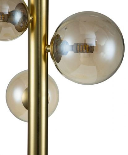 Настольная лампа Indigo Canto 11026/4T Gold V000250 в г. Санкт-Петербург  фото 3