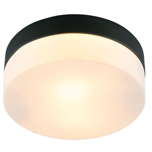 Потолочный светильник Arte Lamp Aqua-Tablet A6047PL-1BK в г. Санкт-Петербург 