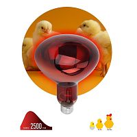 Лампа инфракрасная ЭРА E27 150 Вт для обогрева животных и освещения ИКЗК 230-150 R127 Б0055441 в г. Санкт-Петербург 