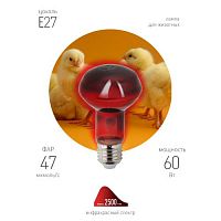 Б0057281 Излучатель тепловой (лампа инфракрасная) ИКЗК 230-60 R63 60Вт Е27 для обогрева животных и освещения КЭЛЗ 