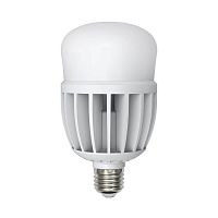 Лампа LED сверхмощная E27 25W 3000K LED-M80-25W/WW/E27/FR/S 10808 в г. Санкт-Петербург 