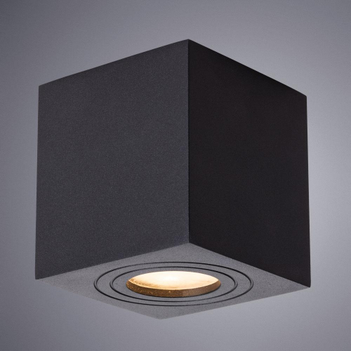 Потолочный светильник Arte Lamp Galopin A1461PL-1BK в г. Санкт-Петербург  фото 2