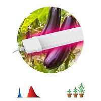 Б0045697 Светильник для растений FITO-36W-RB-N 36Вт 220-240В IP65 проф. спектр для периода вегетации прозр. рассеив. ЭРА 