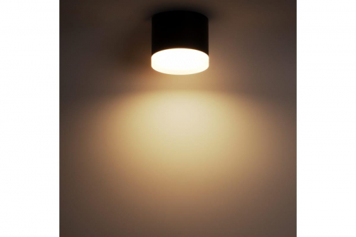 Накладной потолочный светильник Ritter Arton 59947 0 в г. Санкт-Петербург  фото 2