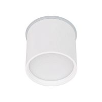 041246 Светильник светодиодный SP-CYLINDO-R75-7W Day4000 (WH 110 deg 230В) IP54 металл Arlight 