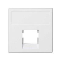 K076-9 Адаптер на 1 RJ45 коннектор SimonConnect AMP (S110; SL110; SLt) Brand-RexRIT 45х45мм бел. 