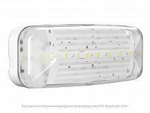 Светильник аварийный BS-JUNIOR-10-L1-ELON централиз. электропитания Белый свет a16989 в г. Санкт-Петербург 