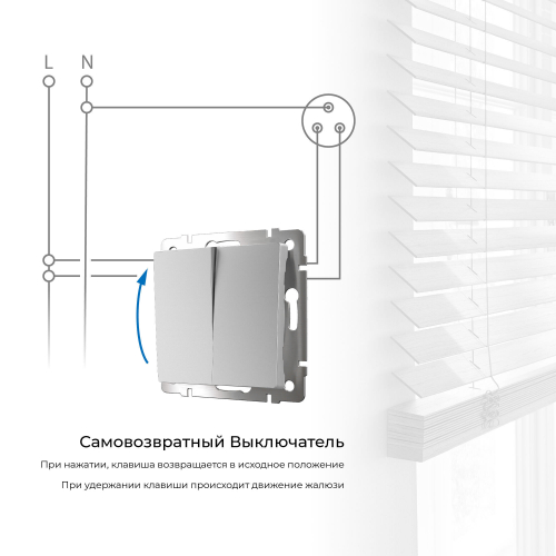 Выключатель двухклавишный с самовозвратом (серебряный) W1122406 в г. Санкт-Петербург  фото 2