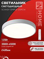 4690612062129 Светильник светодиодный SCANDY SIMPLE-125RCW 125Вт 3000-6500К 10000лм 230В 400х50мм с пультом ДУ бел. IN HOME 
