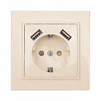 ERR16-028-200-2USB Розетка 1-м СП Минск 16А IP20 с заземл. защ. шторки с 2-мя заряд. устройствами USB 2.1А беж. EKF 