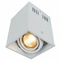 Потолочный светильник Arte Lamp Cardani A5942PL-1WH в г. Санкт-Петербург 