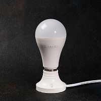 Лампа светодиодная A60 25.5Вт Груша 2700К тепл. бел. E27 2423лм Rexant 604-015 в г. Санкт-Петербург 