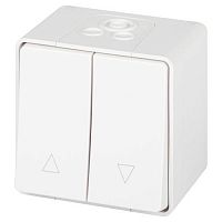 Б0063251 Переключатель Эксперт 11-1508-01 для жалюзи кнопочный IP55 10АХ-250В ОУ бел. Эра 