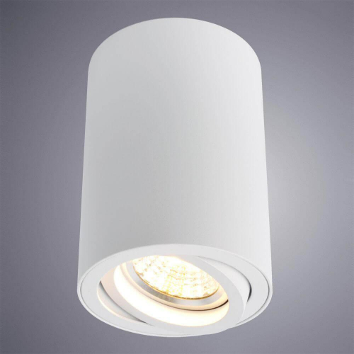 Потолочный светильник Arte Lamp A1560PL-1WH в г. Санкт-Петербург  фото 2