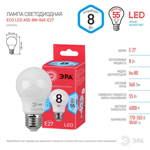 Лампа светодиодная ЭРА E27 8W 4000K матовая ECO LED A55-8W-840-E27 Б0032096 в г. Санкт-Петербург 