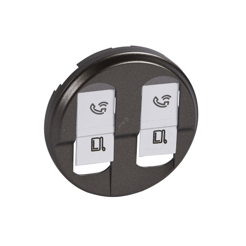 ЛицевПан Графит Роз RJ-45 двой