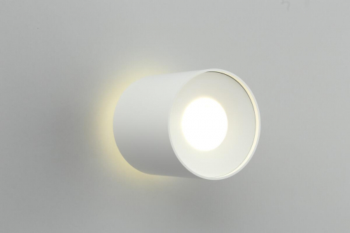 Потолочный светодиодный светильник Omnilux Torino OML-100309-16 в г. Санкт-Петербург  фото 2