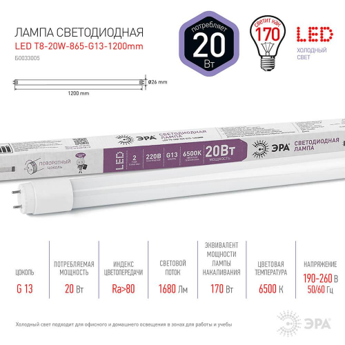 Лампа светодиодная ЭРА G13 20W 6500K матовая LED T8-20W-865-G13-1200mm Б0033005 в г. Санкт-Петербург  фото 2