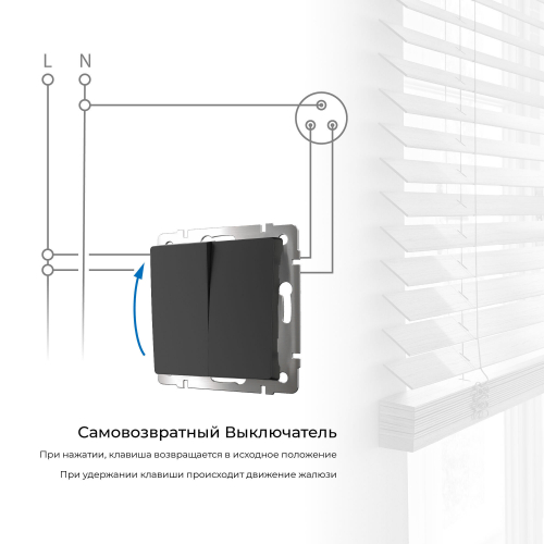 Выключатель двухклавишный с самовозвратом (черный матовый) W1122408 в г. Санкт-Петербург  фото 2