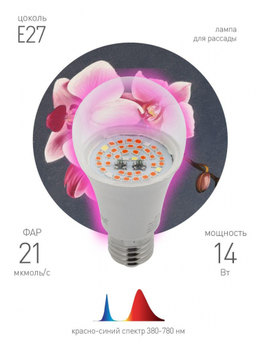 Лампа светодиодная для растений ЭРА E27 14W 1310K прозрачная Fito-14W-RB-E27 Б0050602 в г. Санкт-Петербург  фото 3