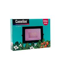 15835 Прожектор светодиодный ФИТО LFL-3005 C02 30Вт черн. Camelion 