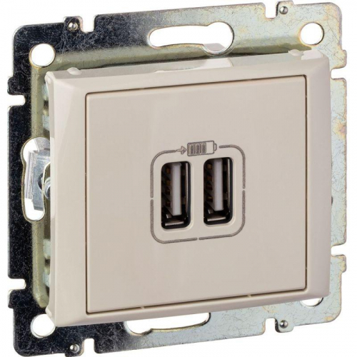 774170 Розетка USB 2-м СП Valena сл. кость IEK 