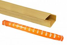 SQ0402-0610 Кабель-канал 100х60 желтая сосна 3D (12м) TDM