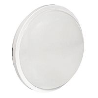 BKL-2011-R-20-6500 Светильник светодиодный ЖКХ ДПО-2011 20Вт 6500К IP65 круг LUMA EKF 