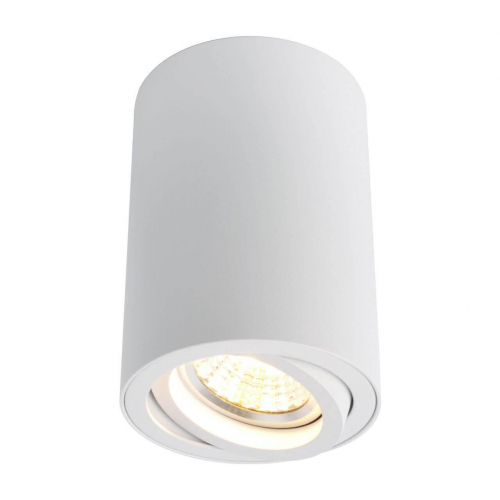 Потолочный светильник Arte Lamp A1560PL-1WH в г. Санкт-Петербург 