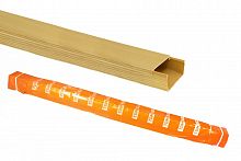 SQ0402-0607 Кабель-канал 40х16 желтая сосна 3D (50м) TDM