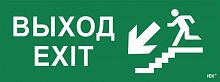 Этикетка самоклеящаяся "Выход/лестница вниз/фигура" ССА 1005 IEK LPC10-1-35-13-VLVNF в г. Санкт-Петербург 