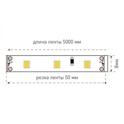 Светодиодная лента SWG 4,8W/m 60LED/m 2835SMD холодный белый 5M 001693 в г. Санкт-Петербург  фото 3