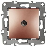 Б0027439 Розетка телевизионная проходная TV Эра12 12-3102-14 IP20 медь Эра 