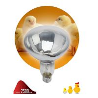 Лампа инфракрасная ЭРА E27 250 Вт для обогрева животных и освещения ИКЗ 220-250 R127 E27 Б0055440 в г. Санкт-Петербург 