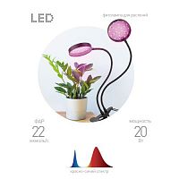 Б0053290 Светильник светодиодный FITO-20W-АLED-R 20Вт для растений красн./син. спектр на прищепке черн. Эра 