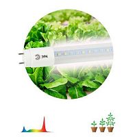 Б0042987 Лампа светодиодная FITO-18W-Ra90-Т8-G13-NL 18Вт T8 линейная 92LED 2835 IP20 35000ч для растений полноспектральная стекло Эра 