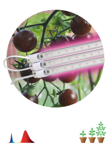 Модульный светодиодный светильник для растений ЭРА Fito-3х10W-Line-RB90 Б0050924 в г. Санкт-Петербург  фото 2
