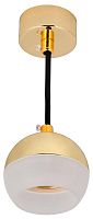 Светильник 4012 подвесной под лампу GX53 золото IEK LT-UCB0-4012-GX53-1-K22 в г. Санкт-Петербург 