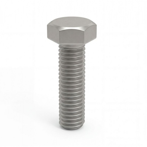 CM081070INOX316L Болт с шестигранной головкой М10х70 AISI 316L нерж. DKC 