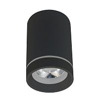Потолочный светодиодный светильник Aployt Edda APL.0054.19.10 в г. Санкт-Петербург 