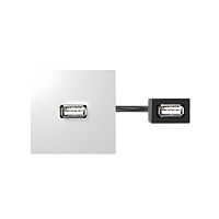 40001191-030 Модуль с адаптером проходной USB мама/мама бел. Simon 400 