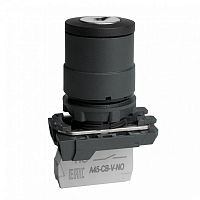 332184 Переключатель OptiSignal D22 C5-SK-21 с ключем 2 поз пластик 1НО XB5AG21 КЭАЗ 